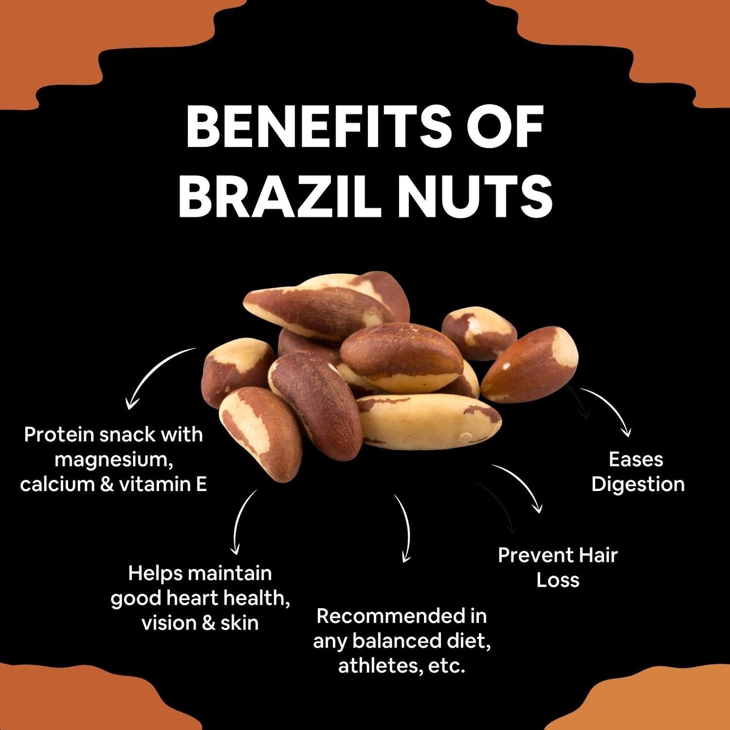 5:15PM Jumbo Brazil Nuts | Handpicked & Exotic Brazilian Nuts | Raw Unsalted 100% Natural Whole Brazil Nuts 100g