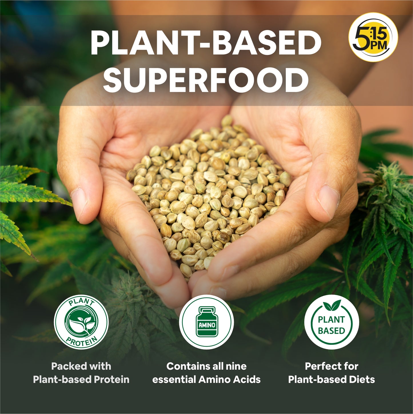 5:15PM Hemp Hearts | Hulled Hemp Seeds for Eating | Raw Shelled Hemp Seeds For Eating -100g